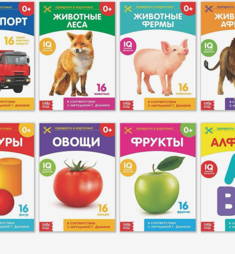 Обучающий набор по методике Домана