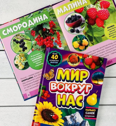 Мир вокруг нас